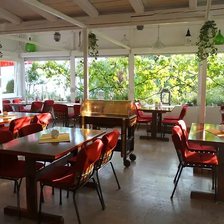 Pansion Belveder Bed & Breakfast