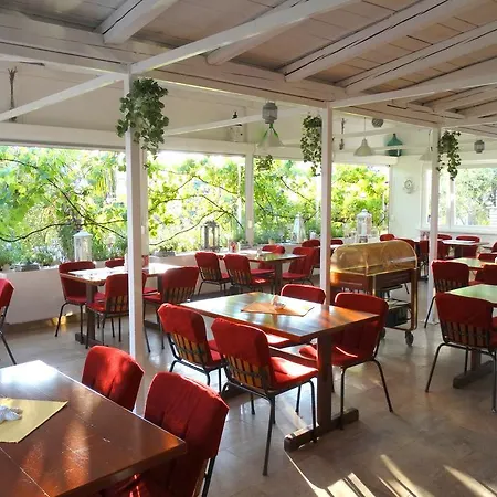 Pansion Belveder Bed & Breakfast